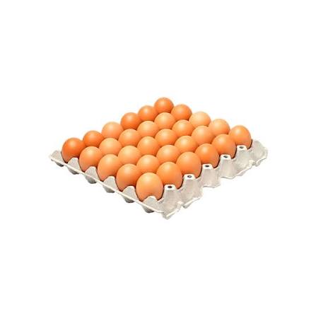 CARTON DE HUEVOS (30)