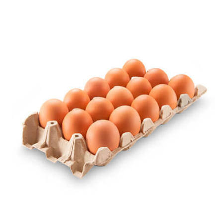 [AV-0002] CARTON DE HUEVOS (15)